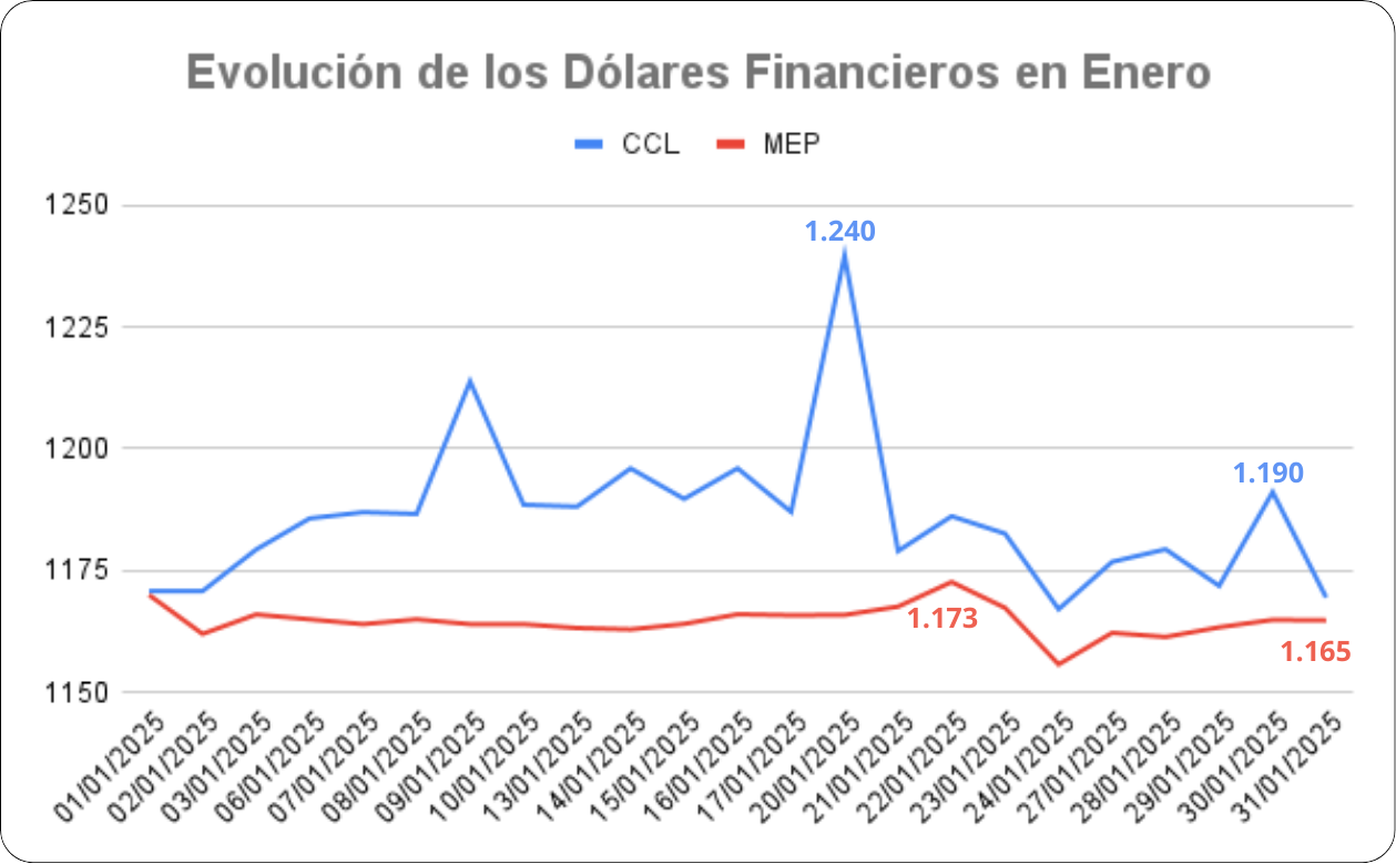 Evolución de los dólares financieros en Enero